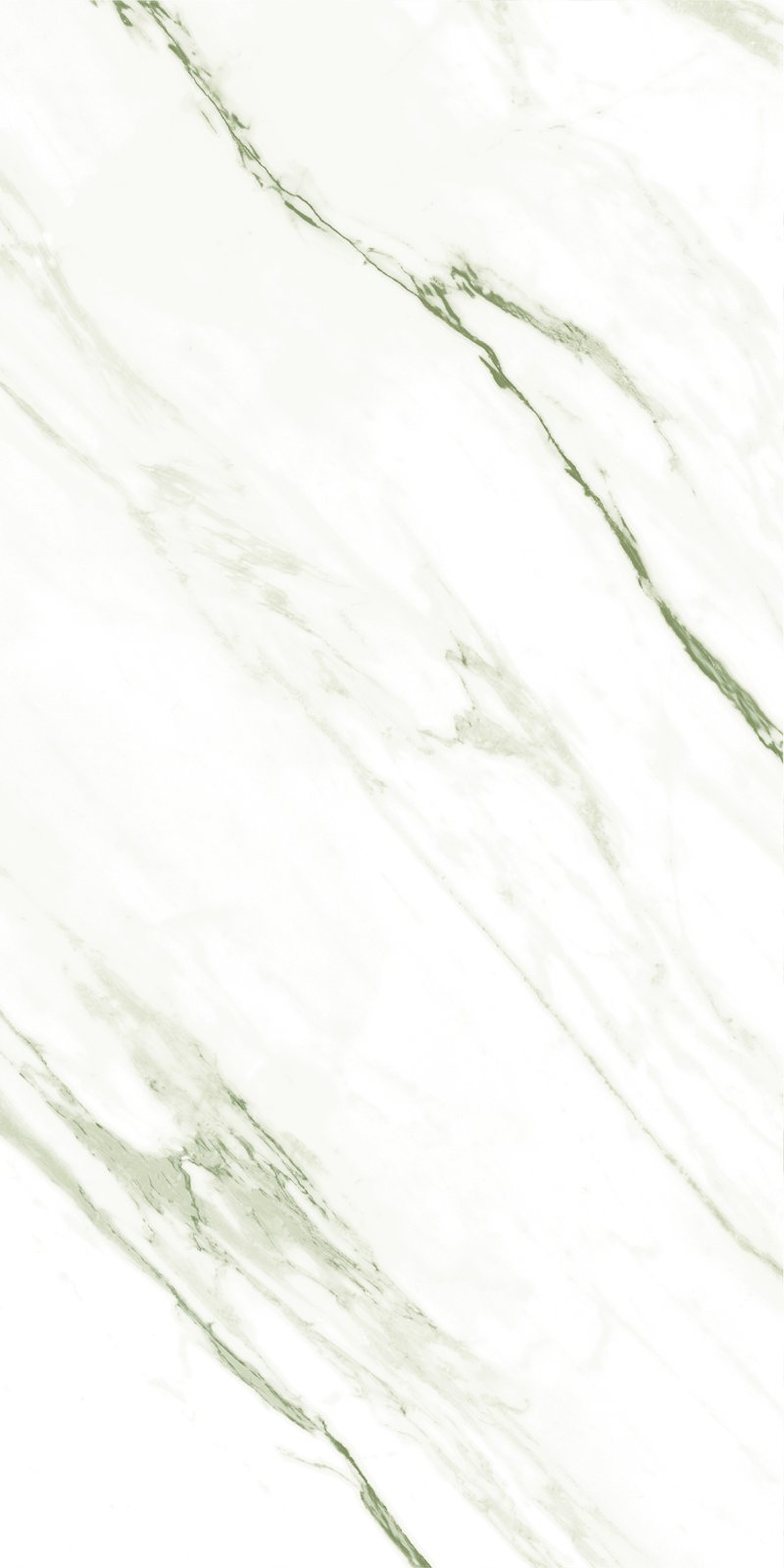 PLATINUM 40X80 NEWTON GREEN